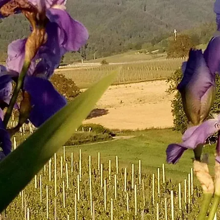Lägenhet Ferienwohnung Im Gaertle Sulzburg