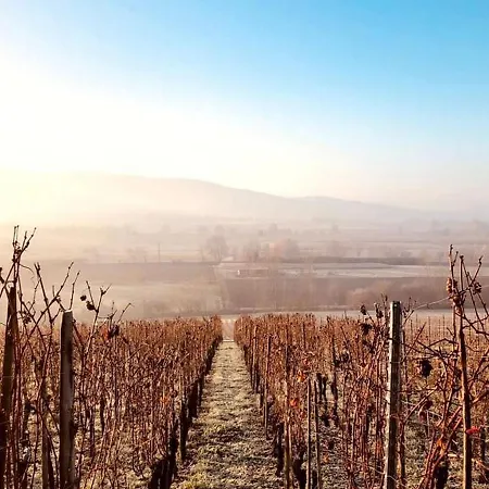 Lägenhet Ferienwohnung Im Gaertle
