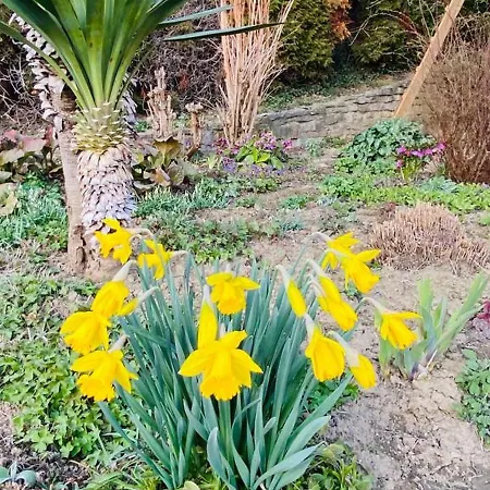 Ferienwohnung Im Gaertle Lägenhet *