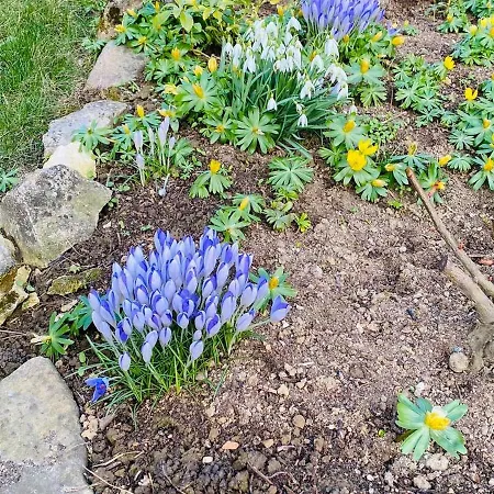 Ferienwohnung Im Gaertle Sulzburg