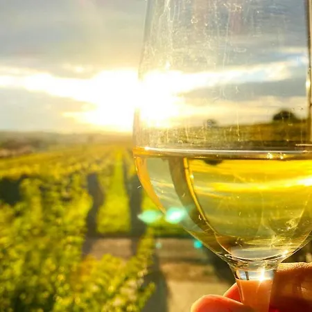 Ferienwohnung Im Gaertle Lägenhet Sulzburg