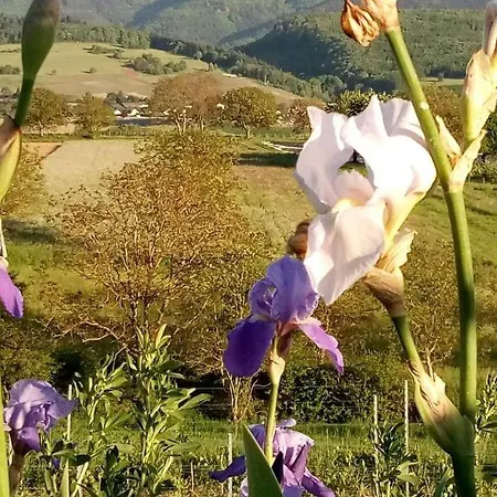 Lägenhet Ferienwohnung Im Gaertle Sulzburg